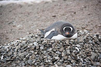 育碧发布《彩虹六号：异种》干员演示视频 Alibi及其全息投影