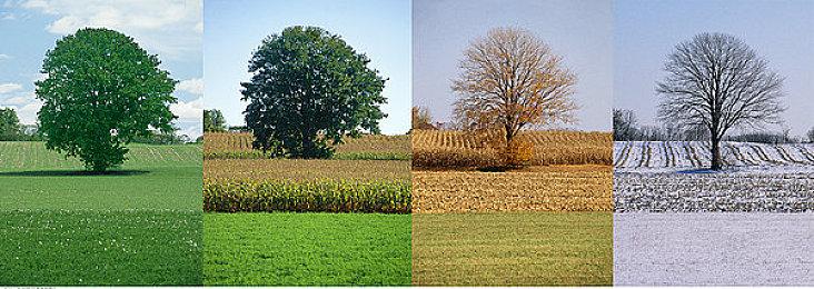 《毁灭战士：黑暗时代》开发揭秘 光追技术节省数年工期